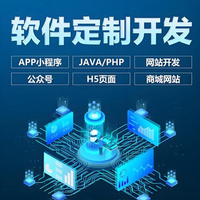 长沙软件定制开发：企业数字化转型的有力助手